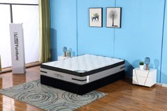 Sleep Plus - 12.5" Euro Pillow Top Mattress in a Box in Queen