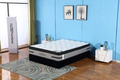 Sleep Plus - 12.5" Euro Pillow Top Mattress in a Box in Double